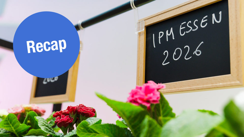 IPM 2026 - Discovery Center powered by Kahler