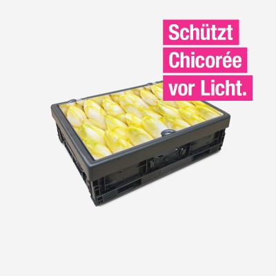 Abdeckung für OG-Kisten „Chicorée“